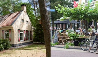 500x180kopie