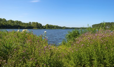 natuurlijk-flevoland-1220-x