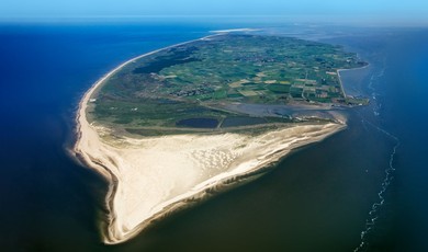 texelhoofdbeeld