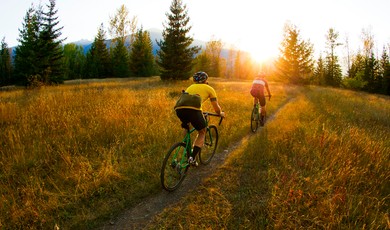 istock_000052325770_medium