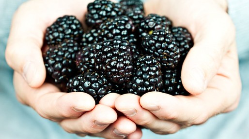 istock_000012840650_medium