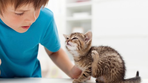 istock_000021716012_medium