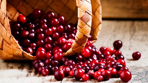 Fresh ripe cranberries poured out of a wicker basket
