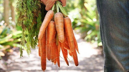 istock-4786908610