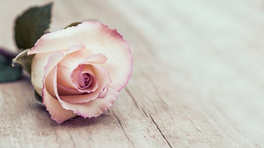 Vintage Rose