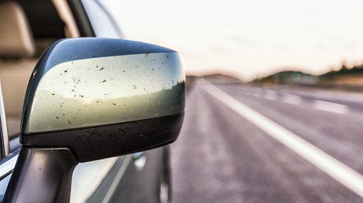 Car Rear View Mirror Splattered With Dead Bugs