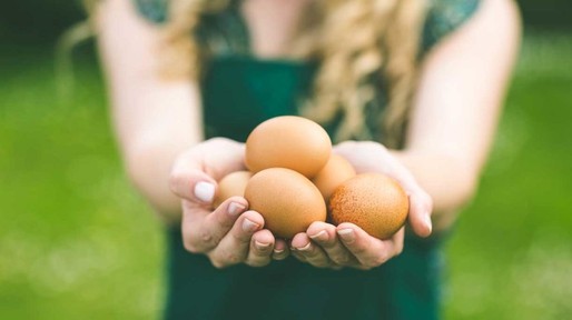 istock-510952017-1024×574-1
